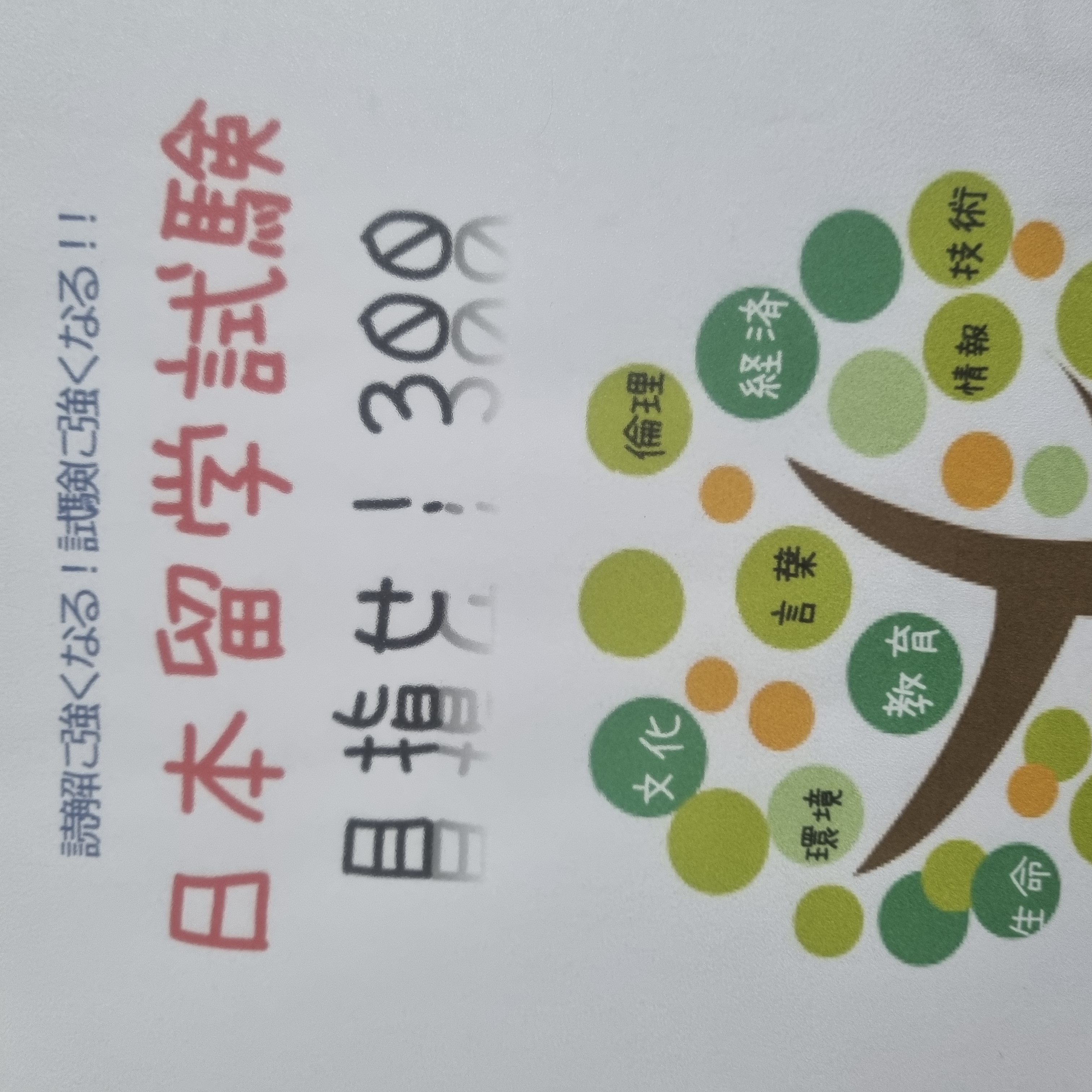 수강후기 업로드 이미지