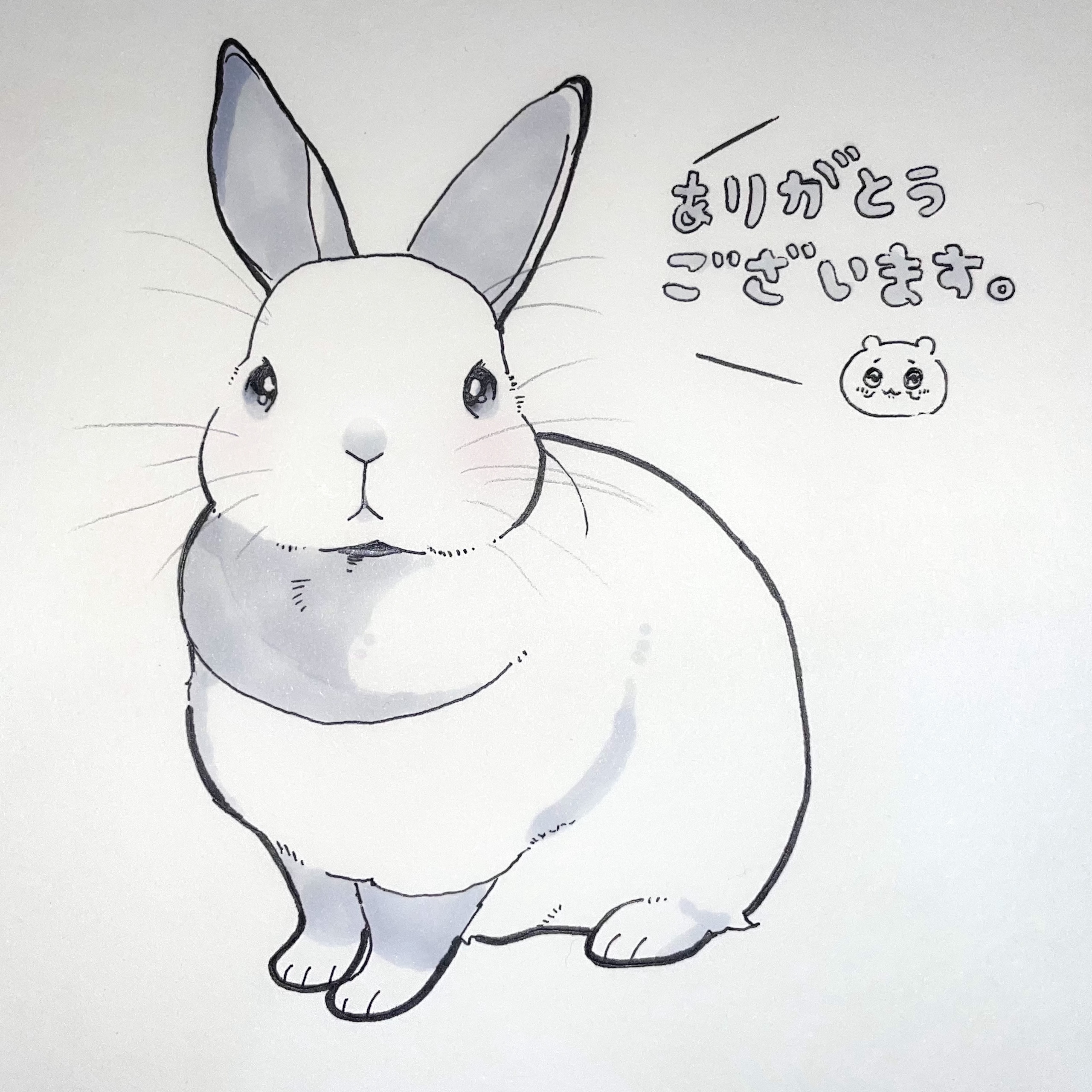 수강후기 업로드 이미지