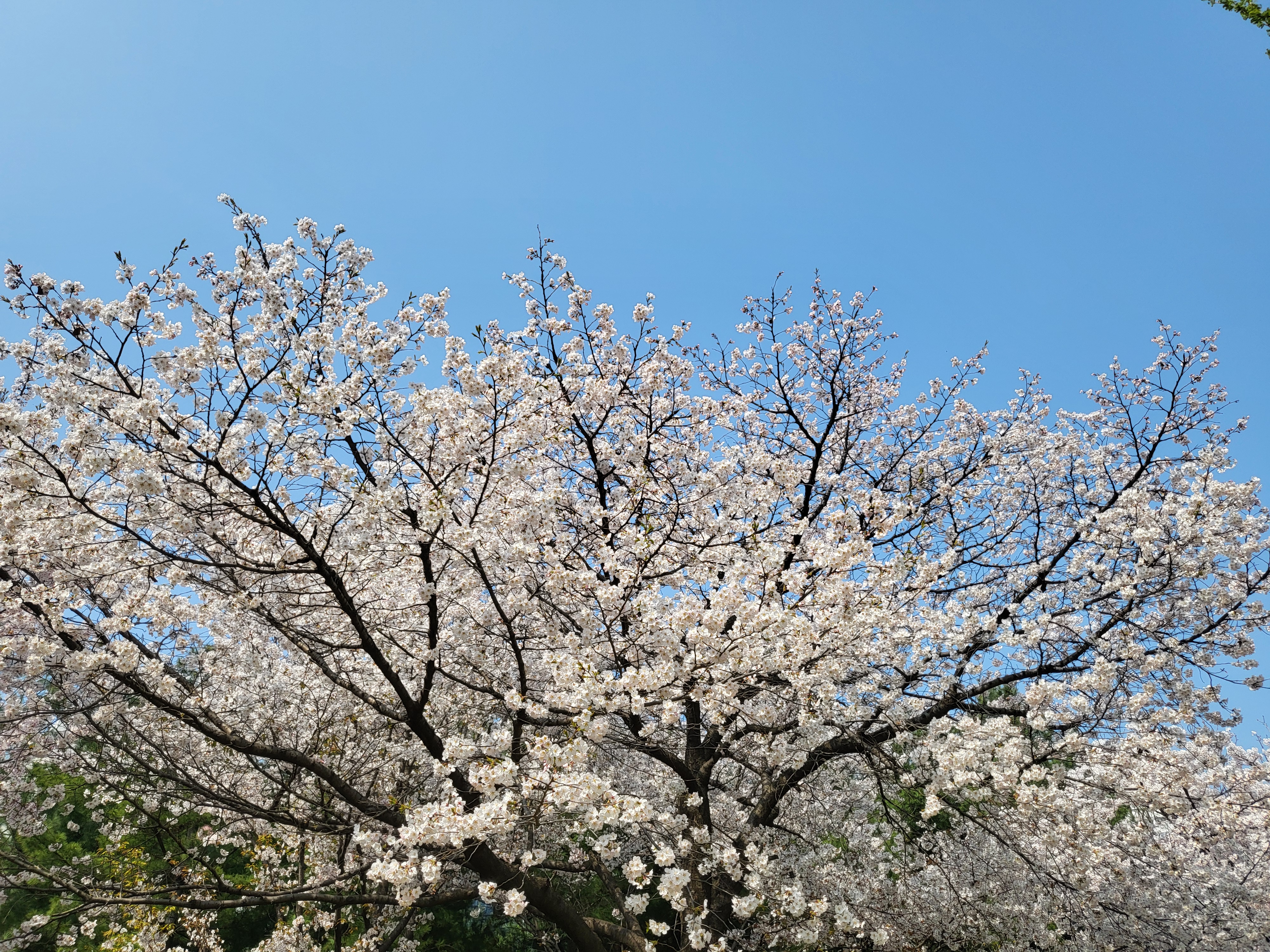 수강후기 업로드 이미지