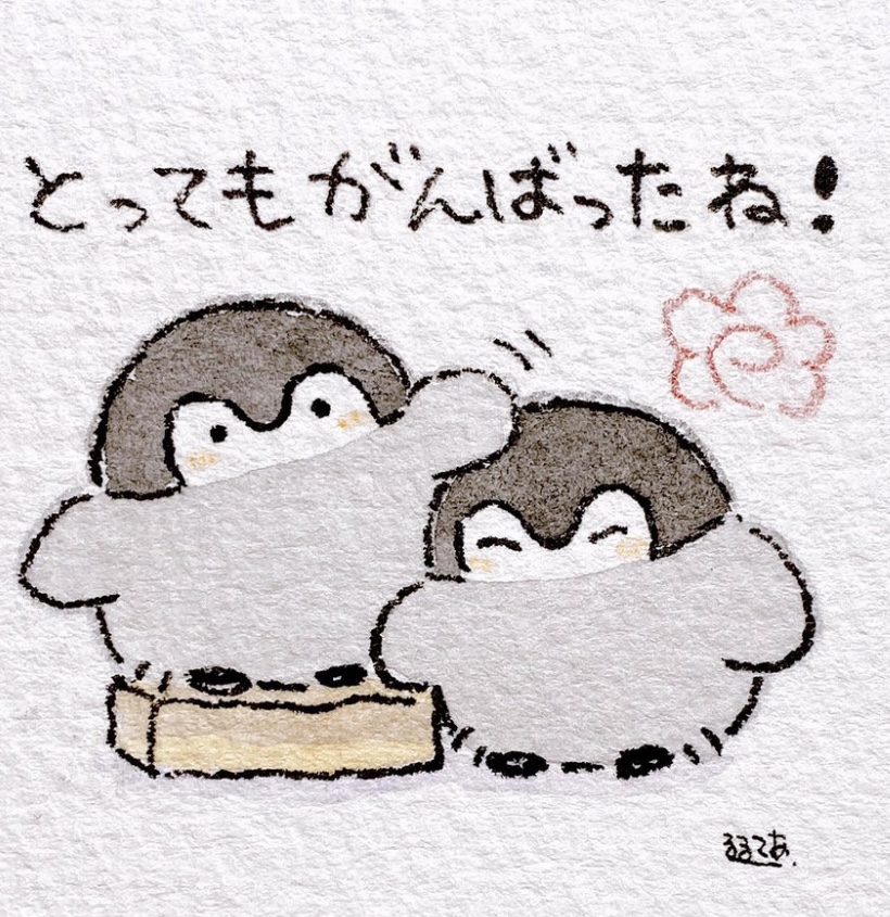 수강후기 업로드 이미지