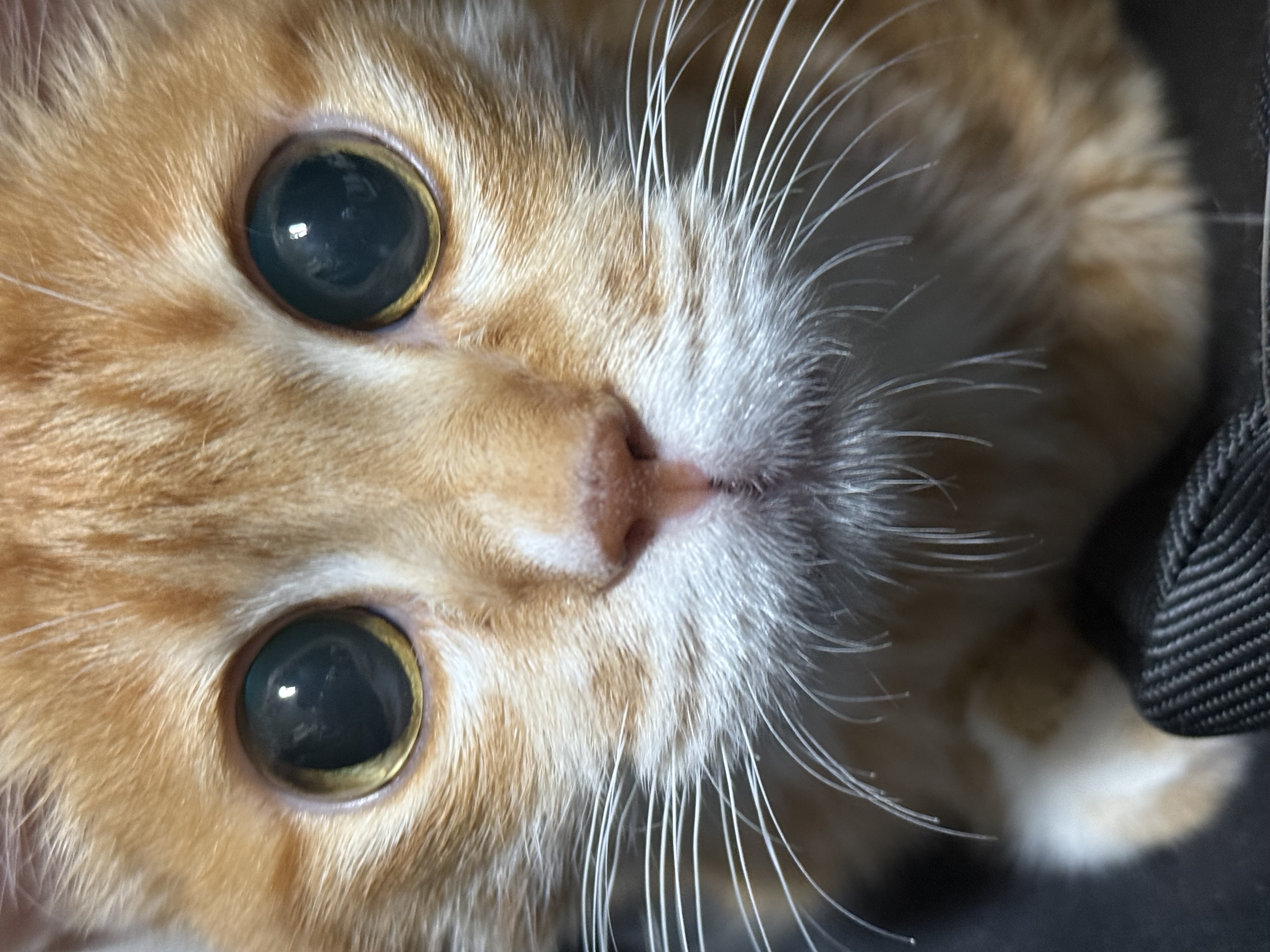 수강후기 업로드 이미지