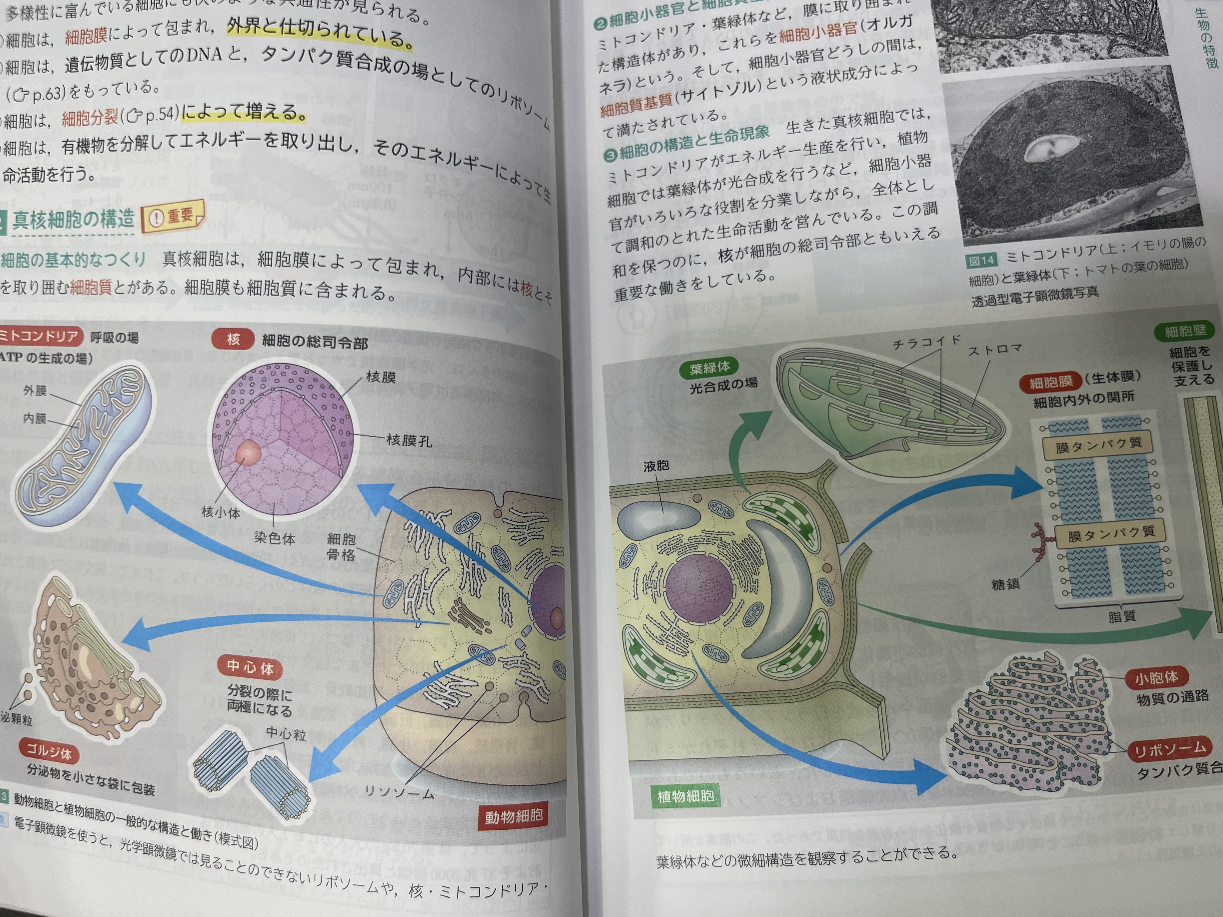 수강후기 업로드 이미지