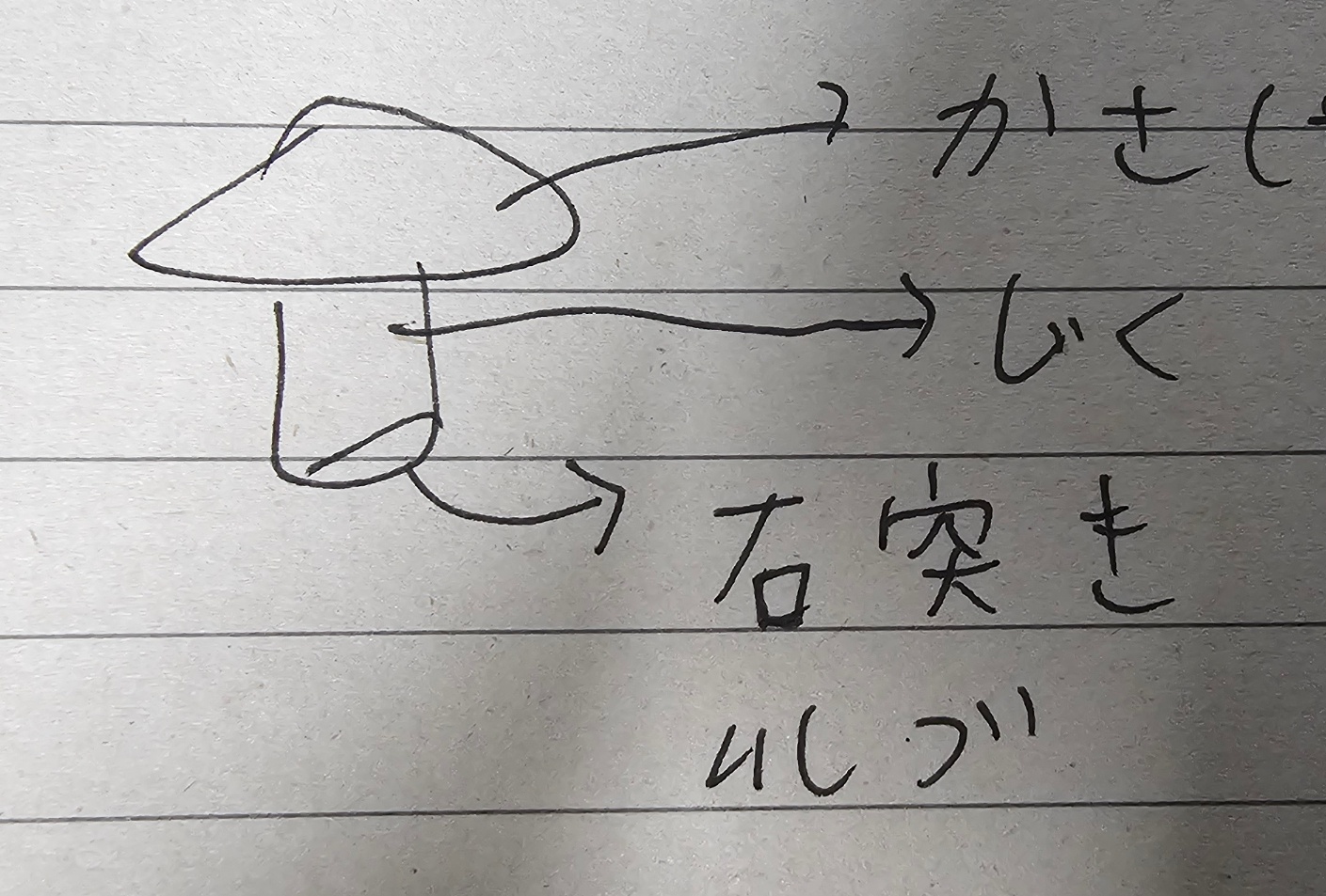 수강후기 업로드 이미지