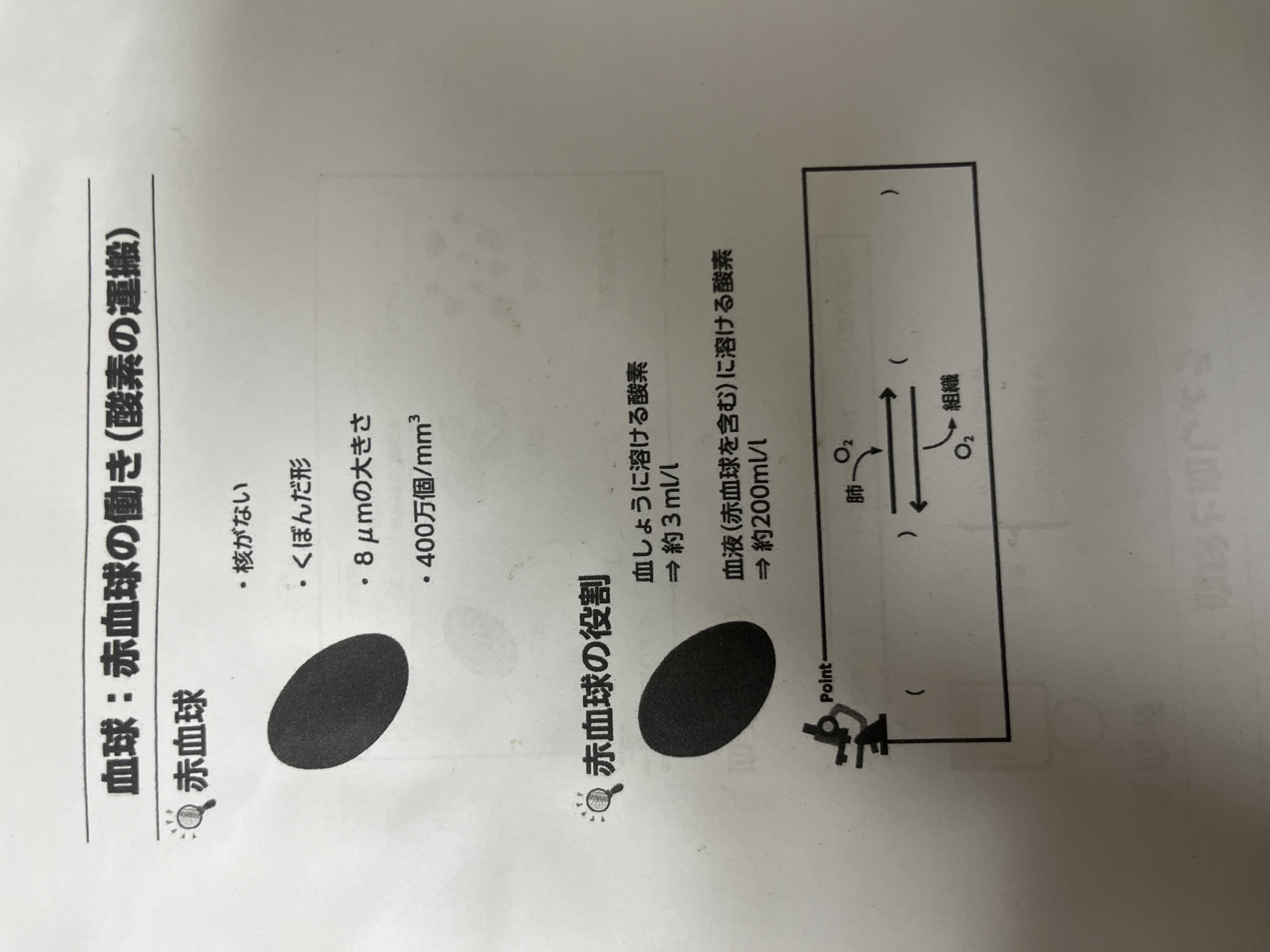 수강후기 업로드 이미지
