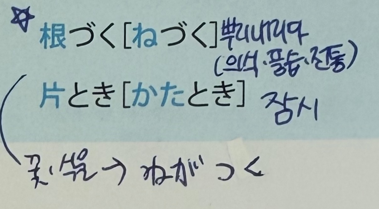 수강후기 업로드 이미지